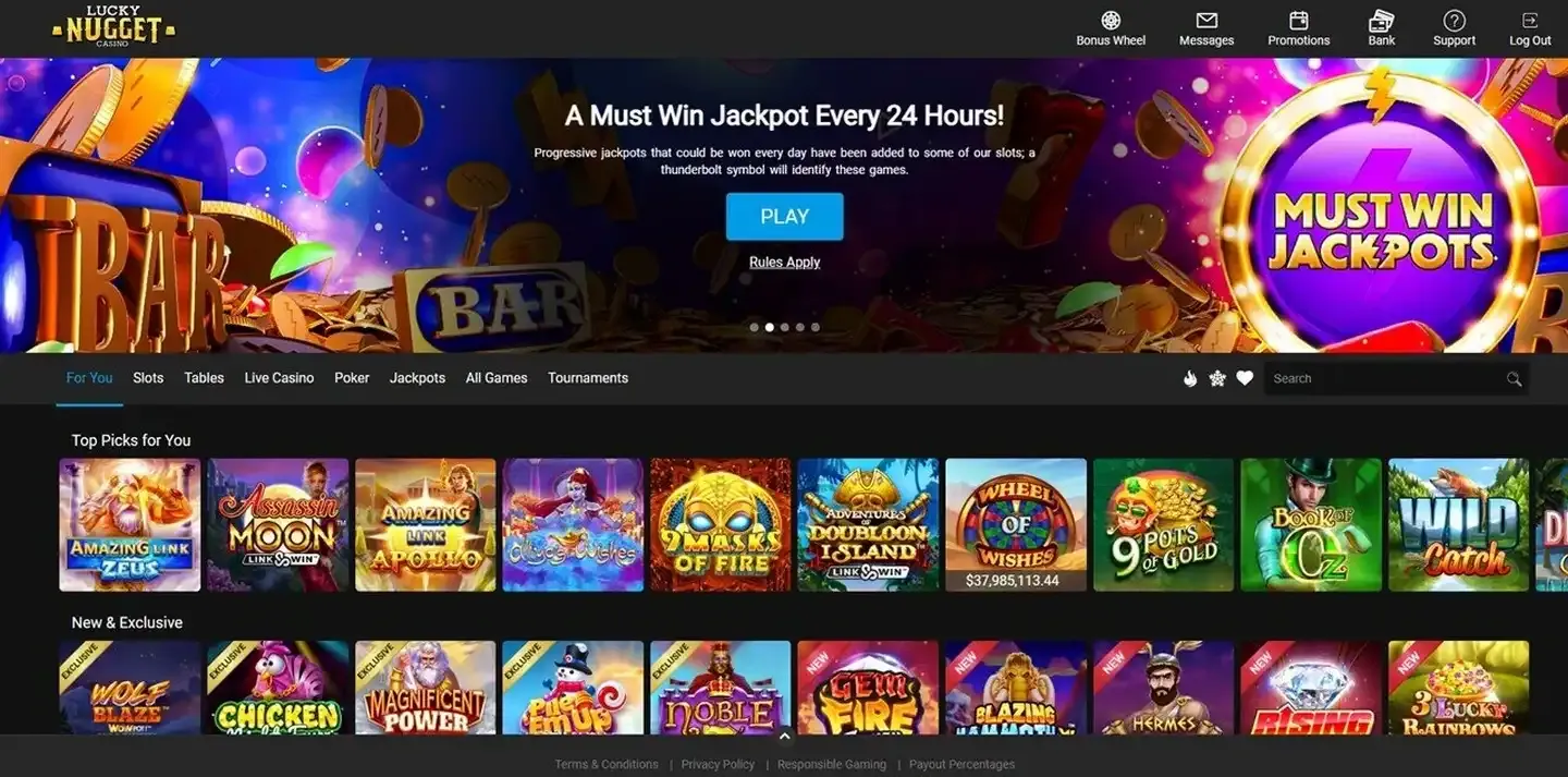 Lucky Wins02_compressed.webp